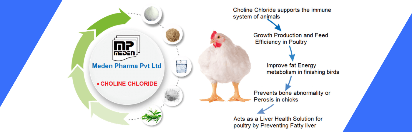Choline Chloride for Animal Nutrition